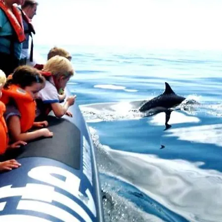 Apartamento My Dreamy House . Wi-fi . Pool . Welcome!