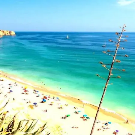 Apartamento My Dreamy House . Wi-fi . Pool . Welcome!