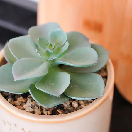 Apartamento My Dreamy House . Wi-fi . Pool . Welcome! Lagos